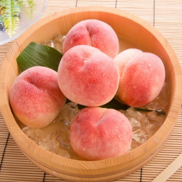 이미지 상세보기